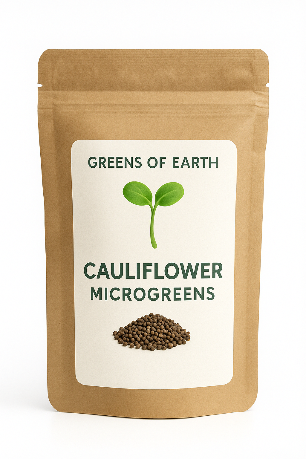 Cauliflower Microgreens