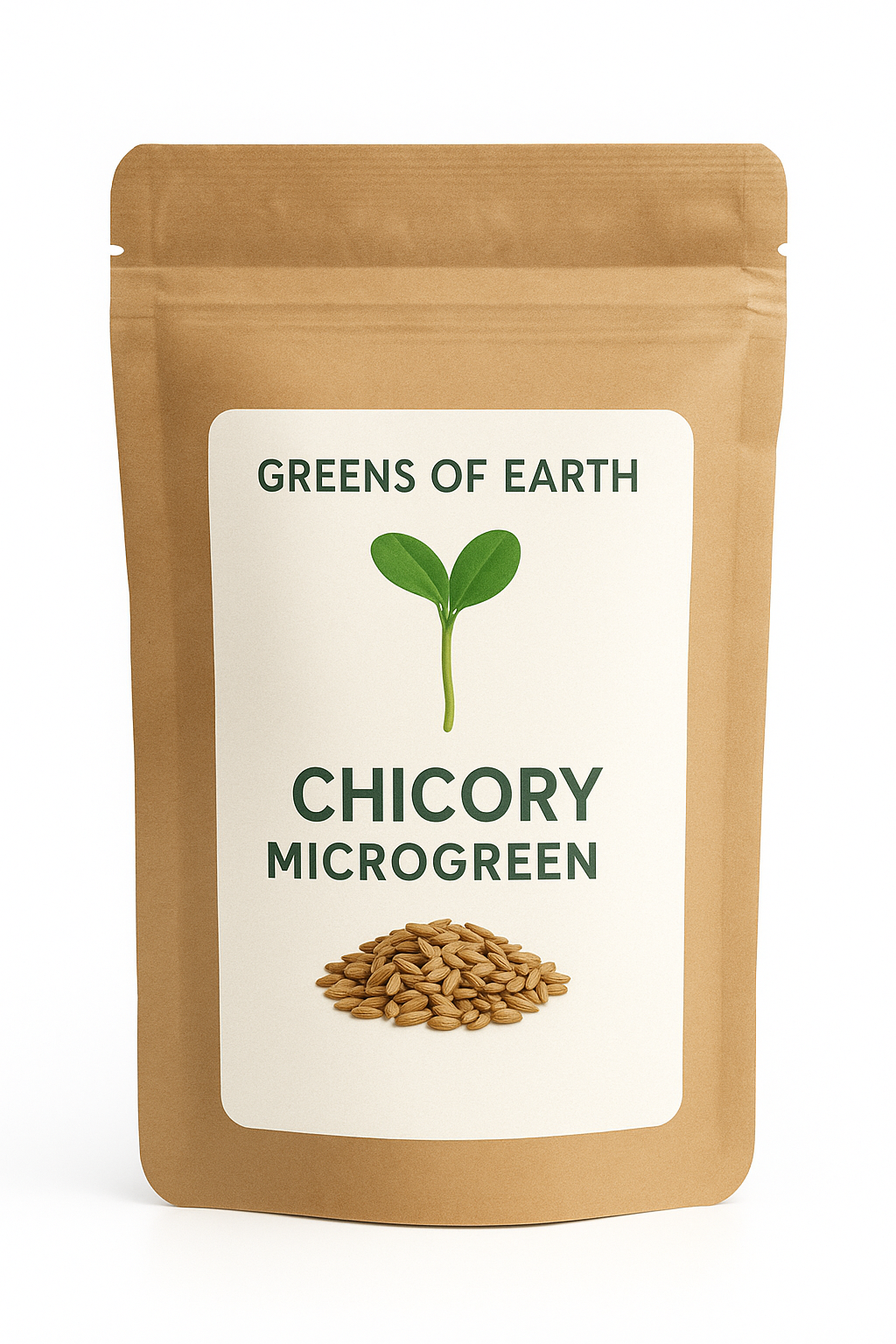 Chicory Microgreens Seeds