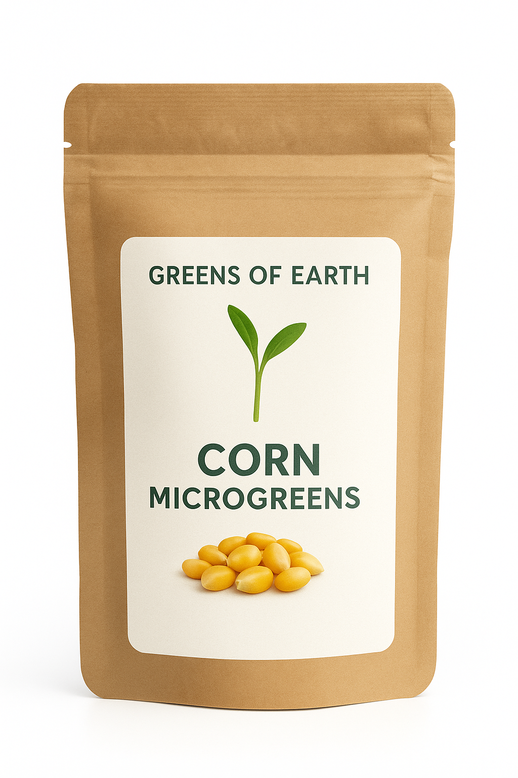 Corn Microgreens