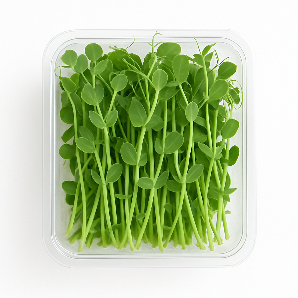 Pea Shoots Pack