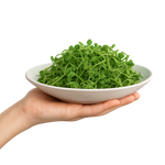 10 Creative Ways to Use Microgreens in Everyday Meals