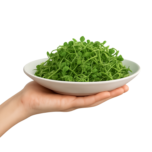 10 Creative Ways to Use Microgreens in Everyday Meals