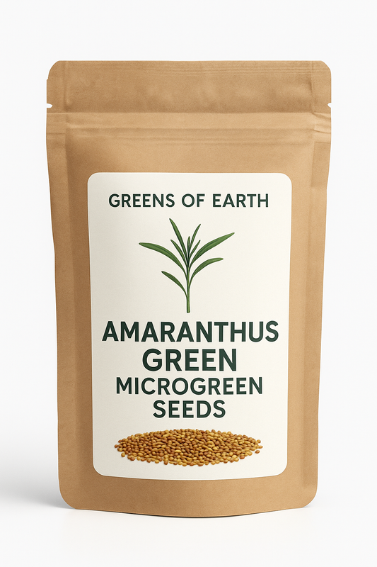 Amaranthus green Microgreen
