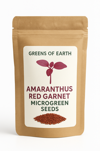 Amaranthus Red Garnet Microgreen - Imported