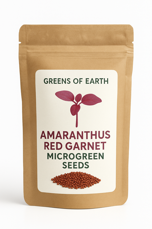 Amaranthus Red Garnet Microgreen - Imported