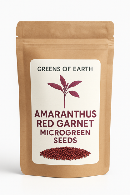 Amaranthus Red Garnet Microgreen - Indian