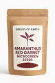 Amaranthus Red Garnet Microgreen - Indian