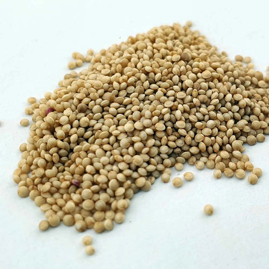 Amaranthus Red Garnet Microgreen - Indian