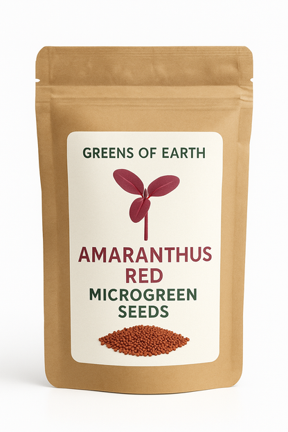Amaranthus Red Microgreen