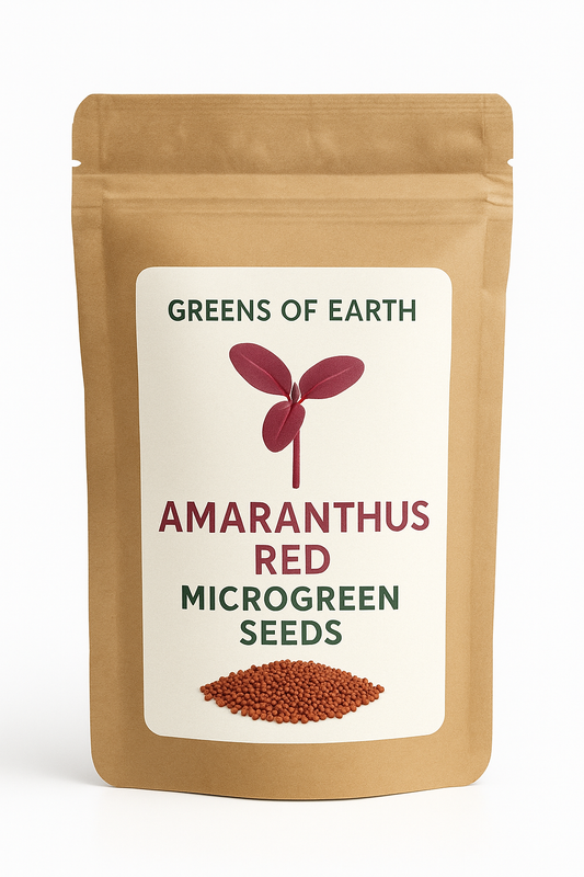 Amaranthus Red Microgreen