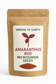Amaranthus Red Microgreen