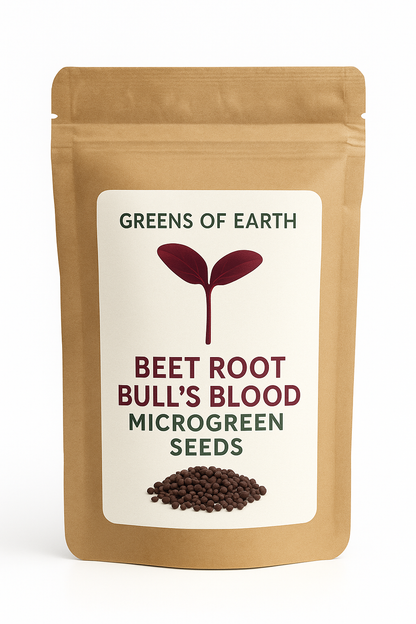 Beet Root Bull's Blood Microgreens