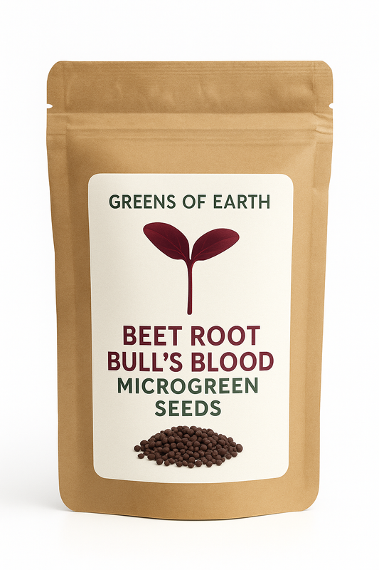 Beet Root Bull's Blood Microgreens