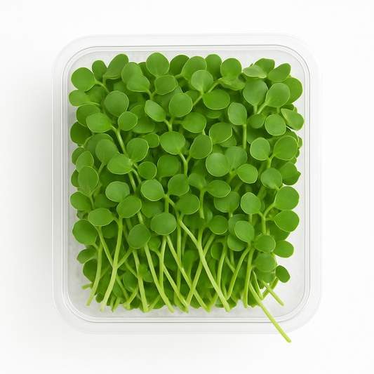 Broccoli Microgreens Pack