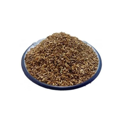 Chicory Microgreens Seeds