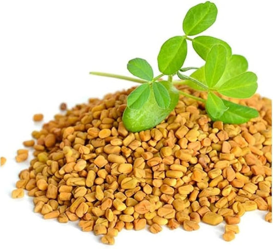 Fenugreek Metha Microgreens