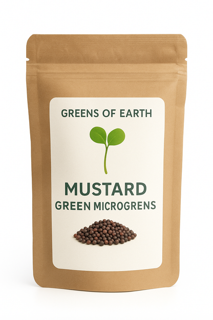 Mustard Green Microgreens