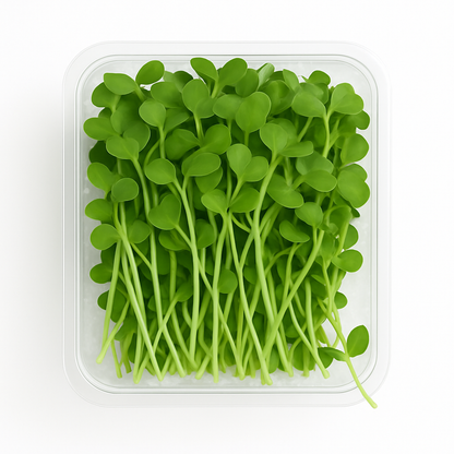 Radish Microgreens Pack