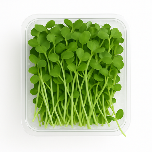 Radish Microgreens Pack
