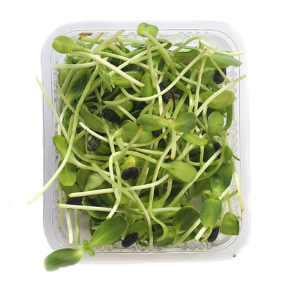 Sunflower Microgreens Pack