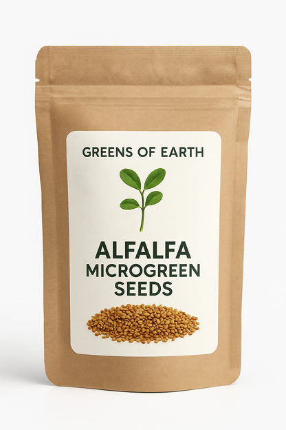 Alfalfa Microgreen