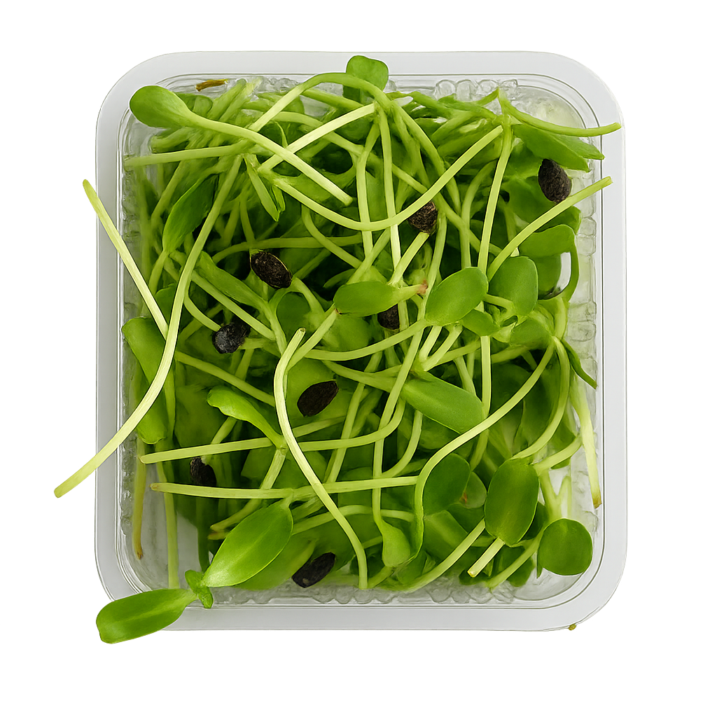 Sunflower Microgreens Pack