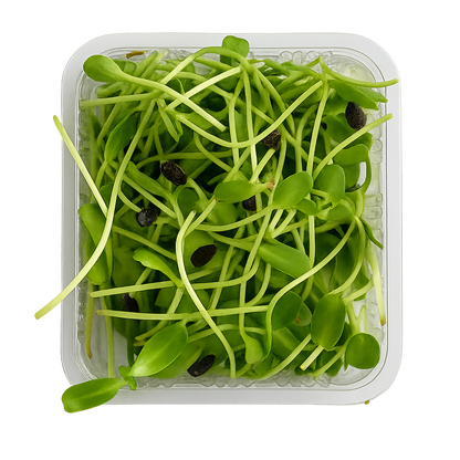 Sunflower Microgreens Pack