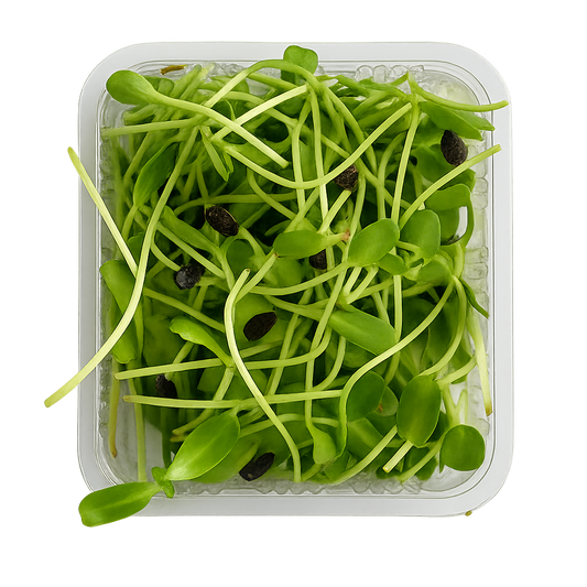 Sunflower Microgreens Pack