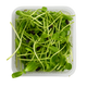 Sunflower Microgreens Pack